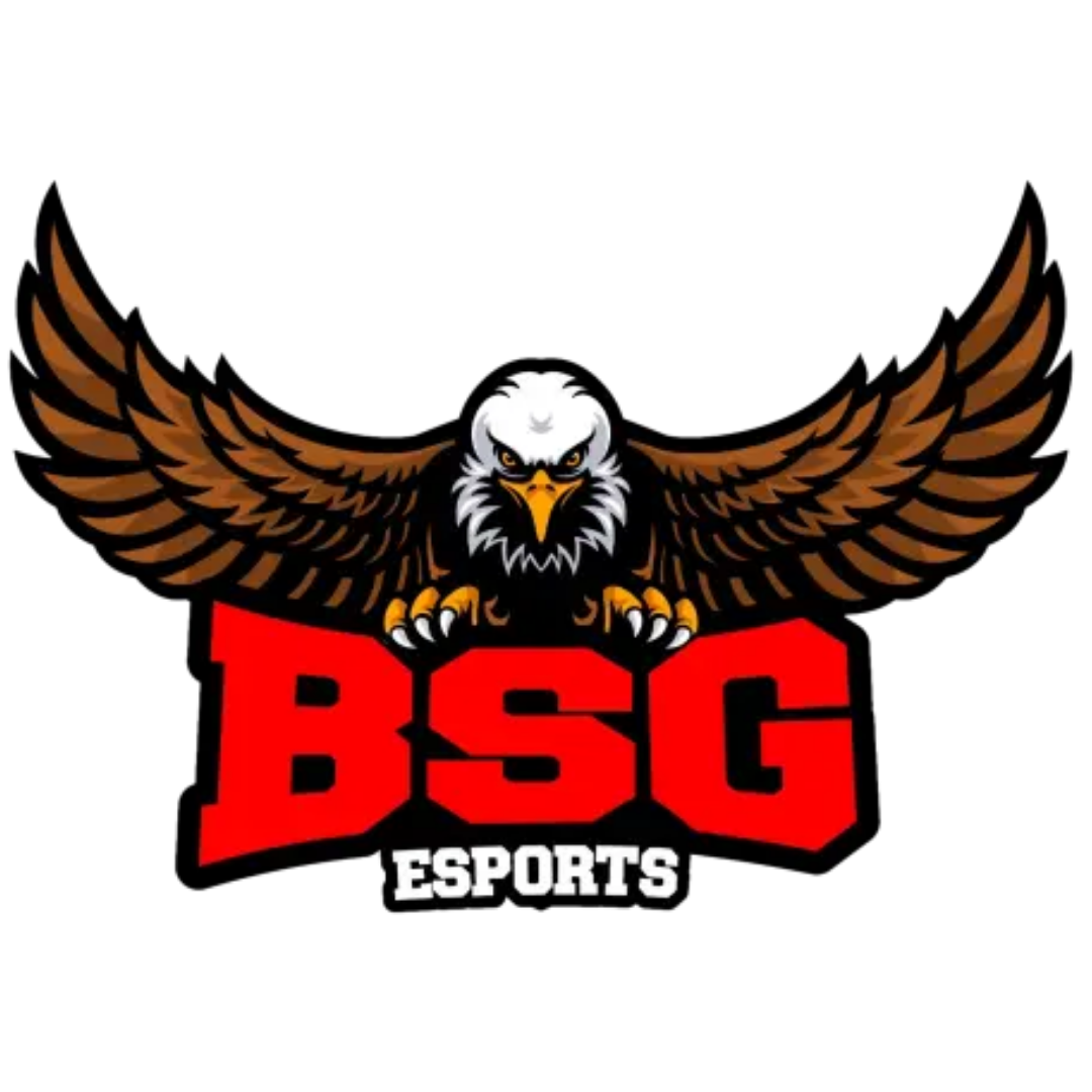 Escudo BSG eSports PC