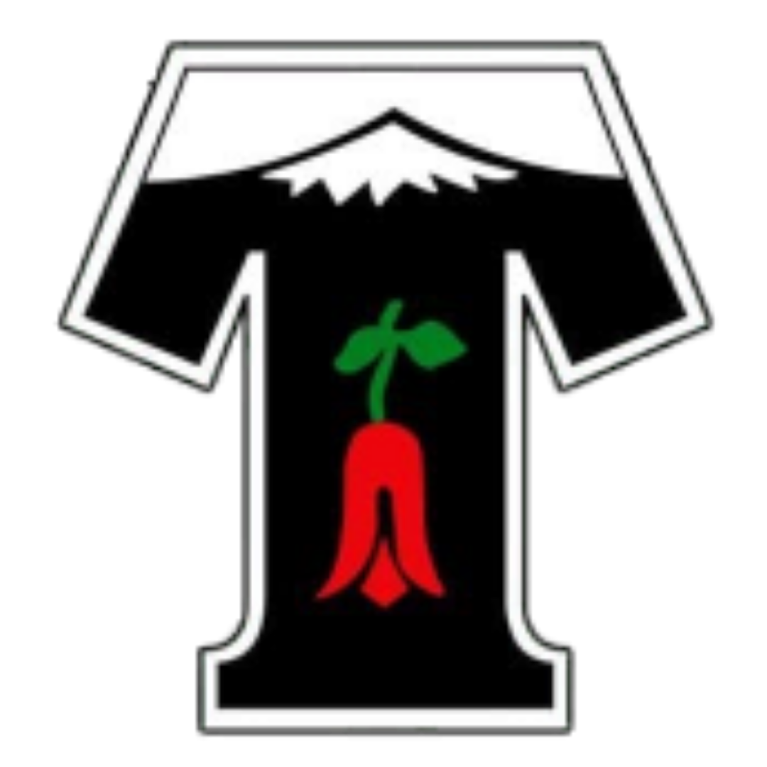 Escudo Temuco FC
