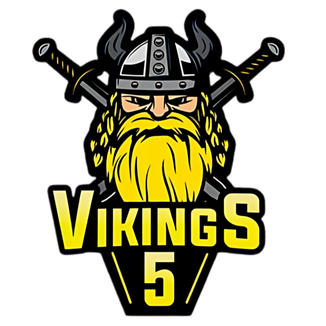 Escudo Vikings 5