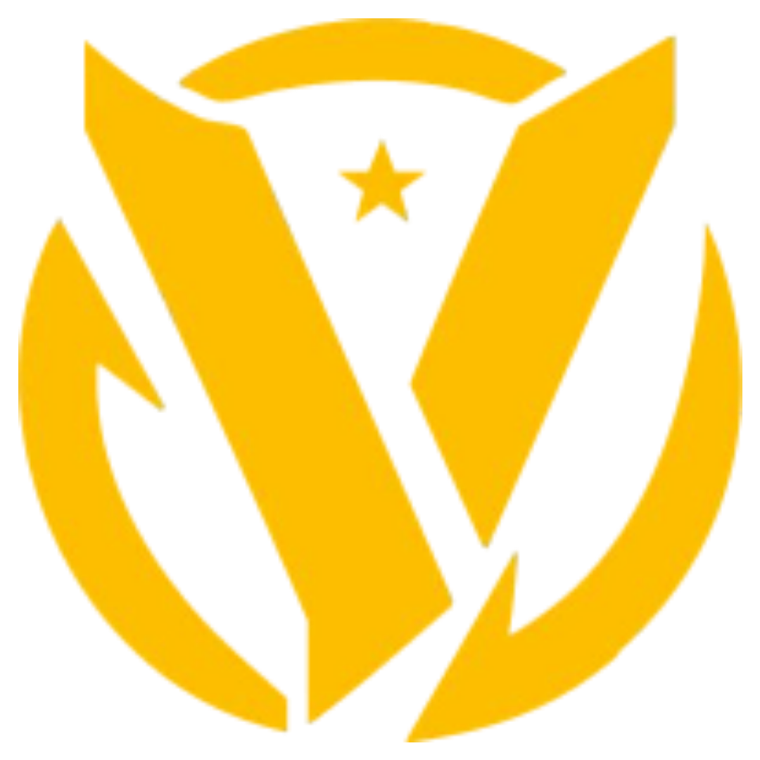 Escudo VIP Team