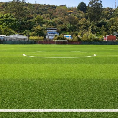 Foto del jugador