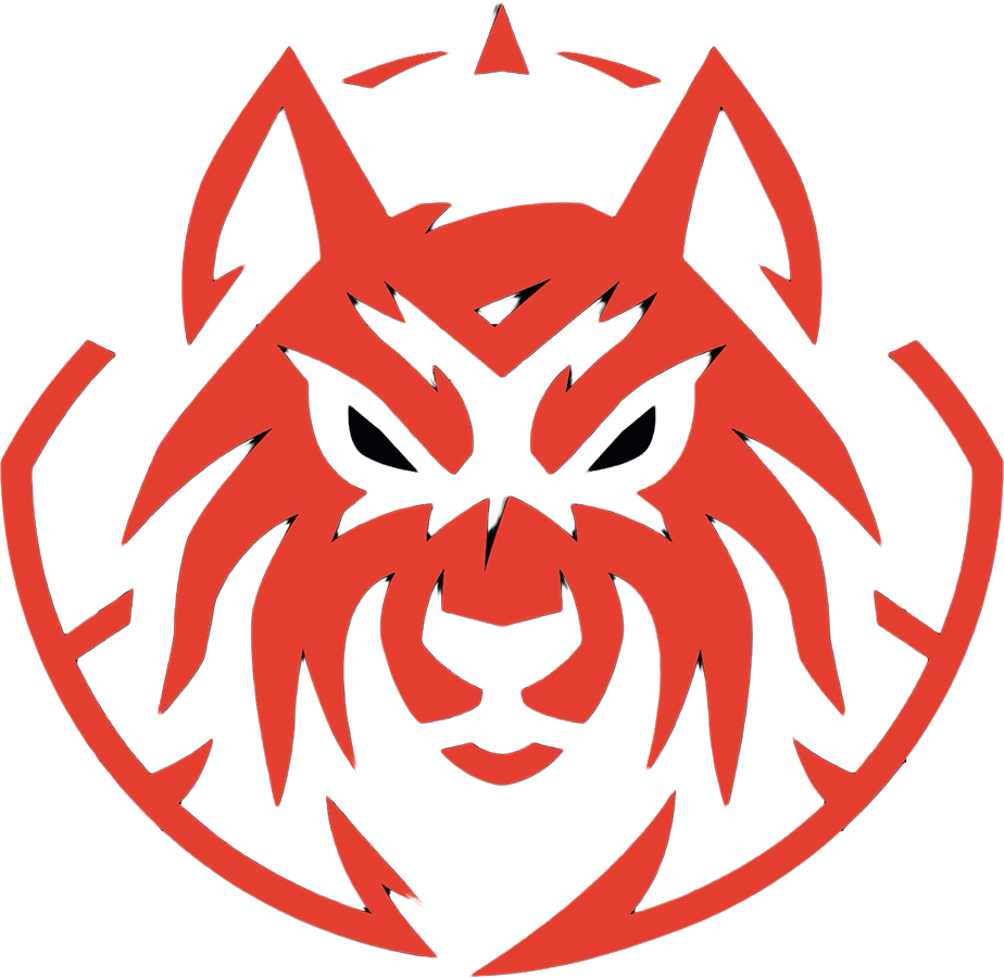 Escudo Skol eSports